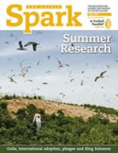 Spark - Fall 2011 cover