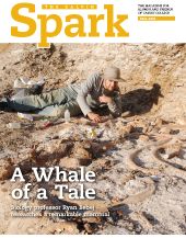 Spark - Fall 2013 cover
