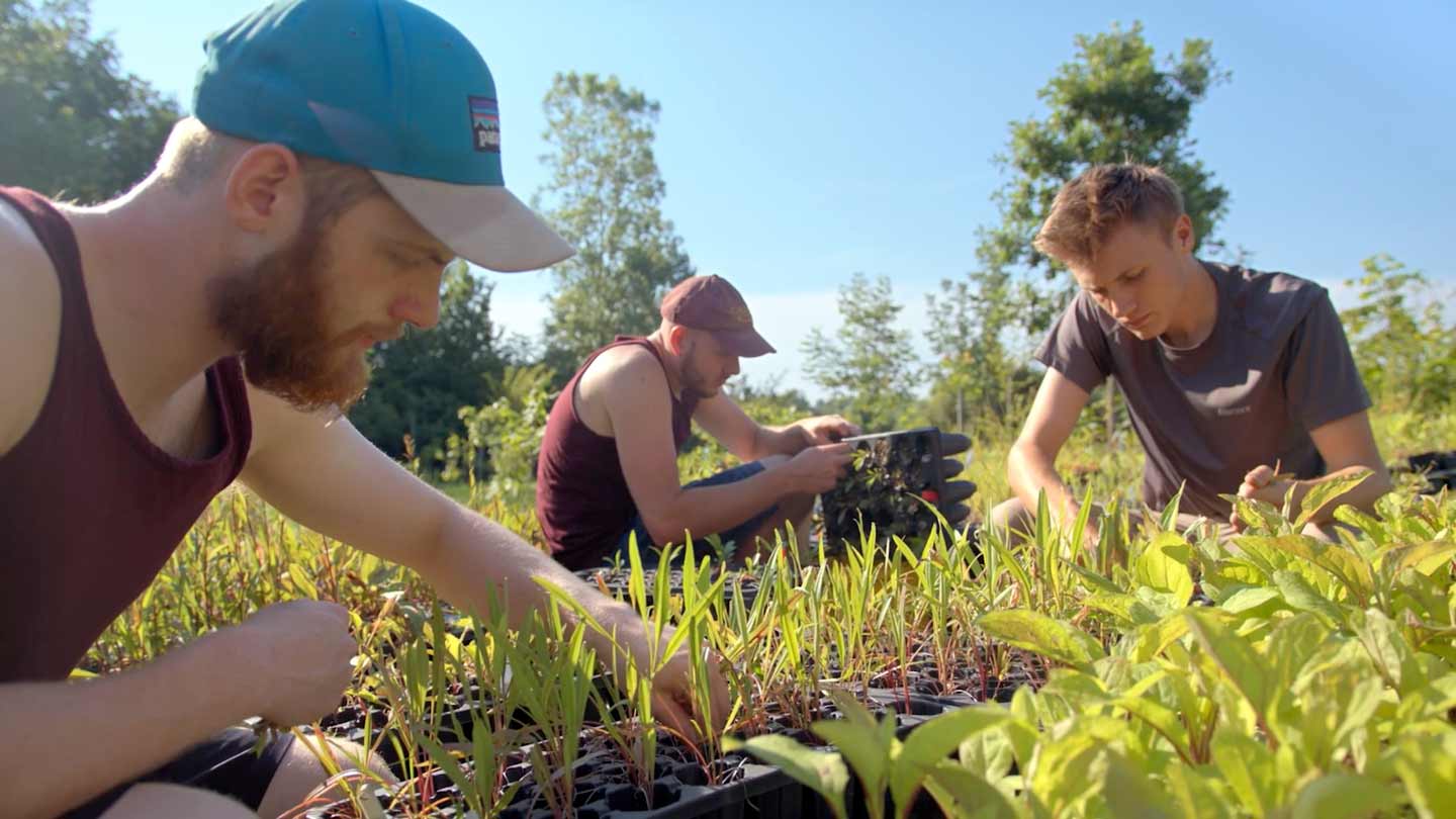 Students working in one of Calvin's gardens.