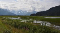 CAA/CALL Travel: The Wilds of Alaska
