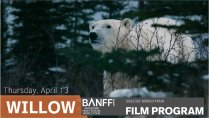 Banff Mountain Film Festival World Tour: Willow