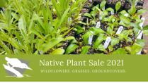 Native Plant Sale Additional Date