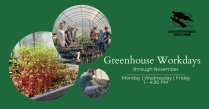 Greenhouse Volunteer Workday