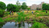 Students working in a lush drainage basin with ponds in front of apartment building