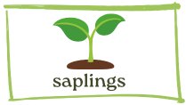 Saplings: Early Childhood Program