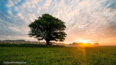 Photo of landscape with tree and sunset by Todd and Brad Reed.