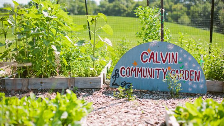 The Calvin Community Garden