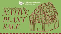 Fall Native Plant Sale