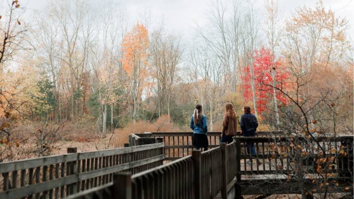 A few students standing on a deck looking out with fall trees in background.