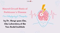 Neuroscience Lecture - Neural Circuit Basis of Parkinson’s Disease: From Pathophysiology to Therapeutics