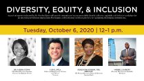 Diversity, Equity, and Inclusion panel members