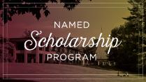 Virtual Scholarship Program