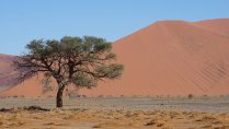 CAA/CALL Travel: Namibia & South Africa