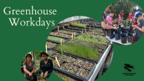 Greenhouse Volunteer Workday