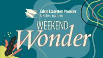 Preserve: Weekend Wonder | Low-impact Back-to-school