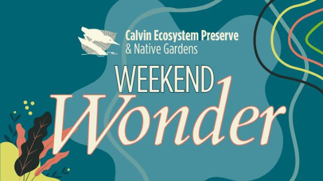 Preserve: Weekend Wonder | Low-impact Back-to-school