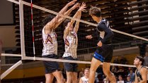 Calvin University men's volleyball players jumping at the net
