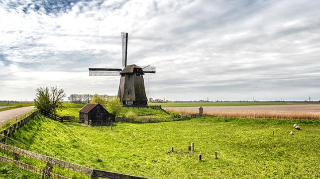 Alumni Travel: Dutch Landscapes