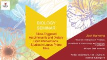 Silica-Triggered Autoimmunity and Dietary Lipid Interventions: Studies in Lupus-Prone Mice