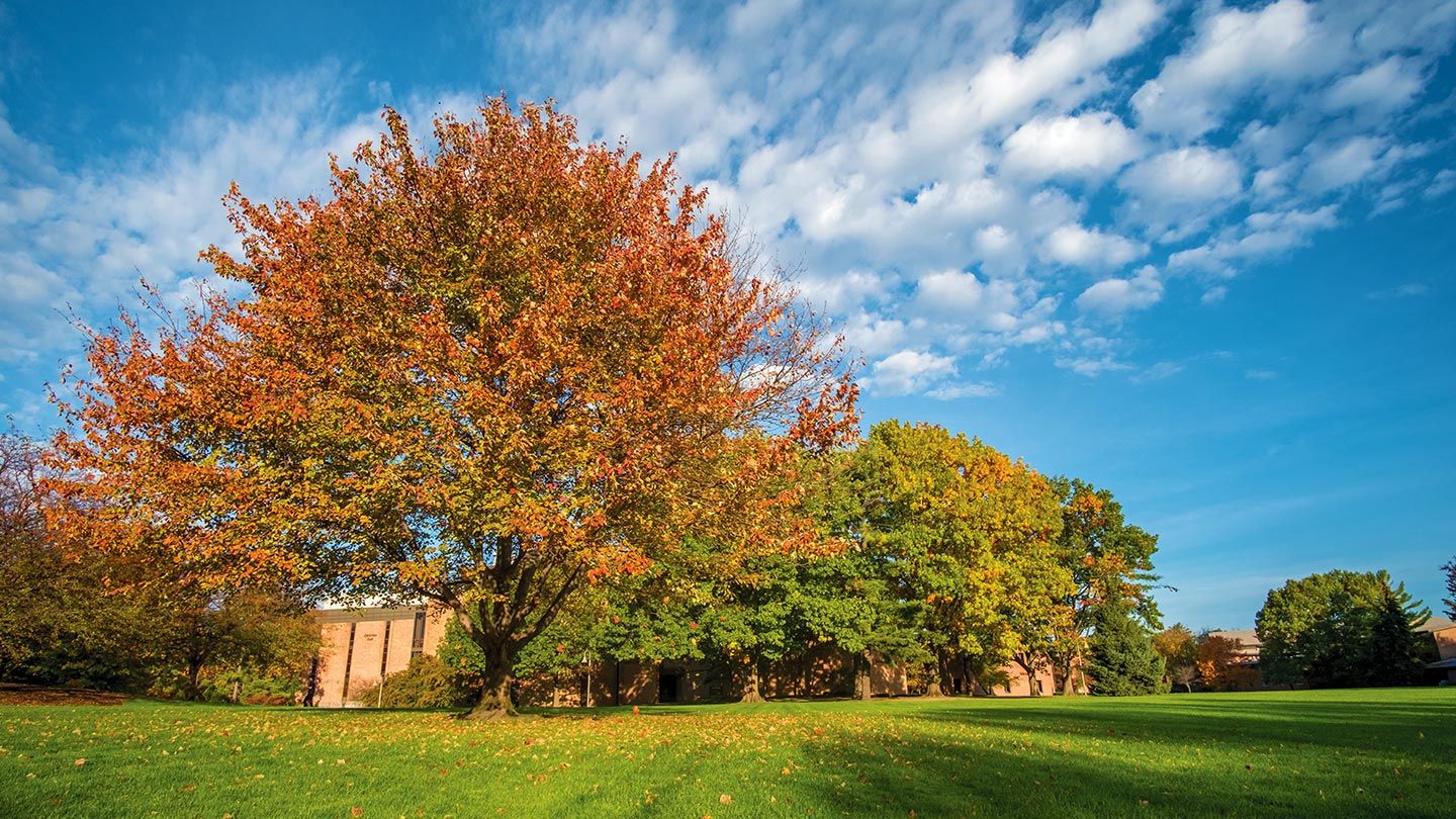 Beautiful fall colors under blue skies, from Calvin's campus.