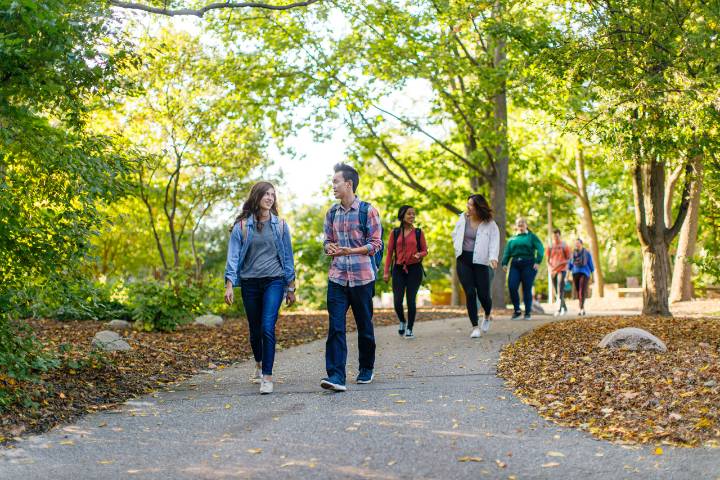 Calvin students walking to class on a tree-lined, paved pathway on campus in Grand Rapids, Michigan.