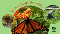 Stewardship Workday at the Calvin Ecosystem Preserve & Native Garden