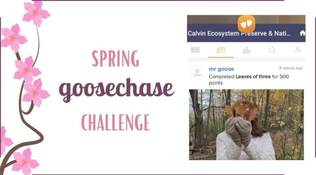 Spring GooseChase Challenge