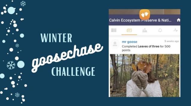 Winter GooseChase Challenge