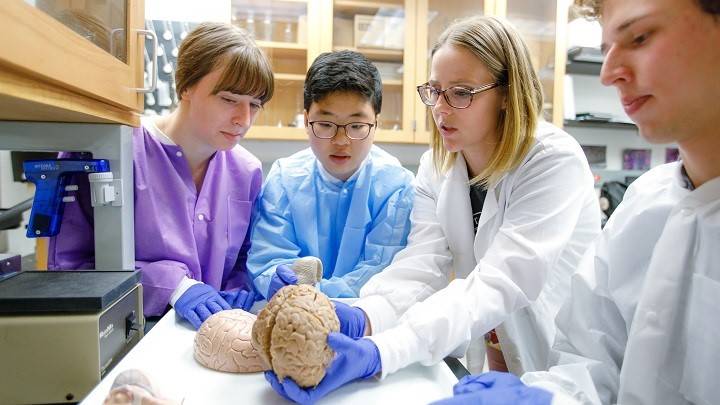 Professor looking at a model of a human bring with three of her students