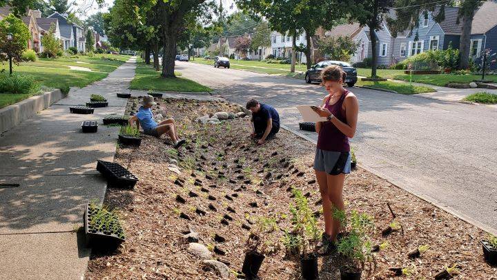 Summer research students install native plant species selected for their performance in reducing pollution in urban waterways