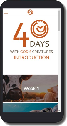 40 days guide app