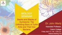 Stacks and Stacks of Symbionts: The Unfolding Story of Turtle Ants and Their Gut Bacteria