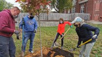 Trees to Heal the Plaster Creek Watershed