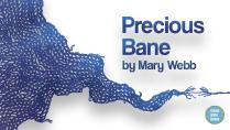 Calvin Theatre Company presents:<br>Precious Bane
