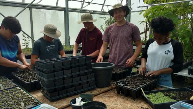Ecosystem Preserve Volunteer Greenhouse Work Days