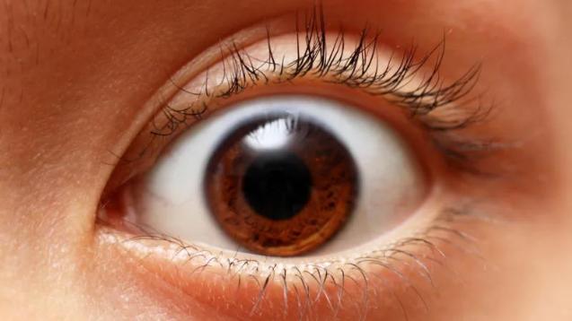 A close up of the human eye.