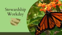 Stewardship Workday: The Preserve