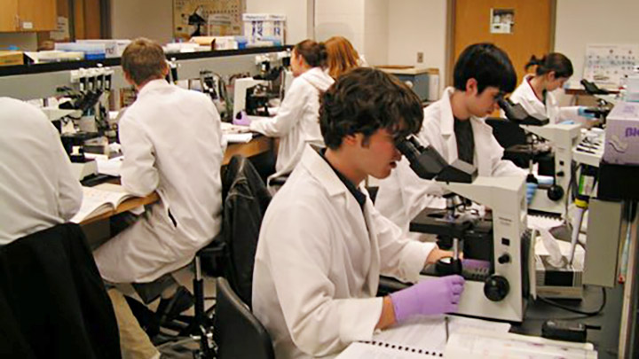 Two rows of students in lab coats use microscopes in a labratory.