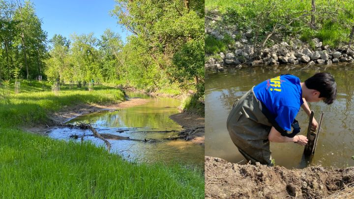 An image of a creek with greenery around it (left); a student doing research in the creek (right)
