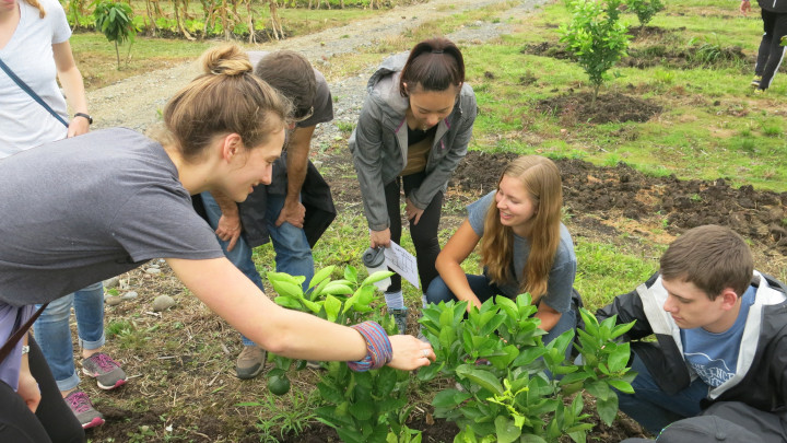 Students in Ecuador inspecting a garden.