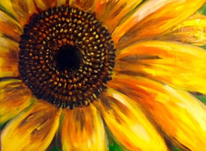 sunflower300px