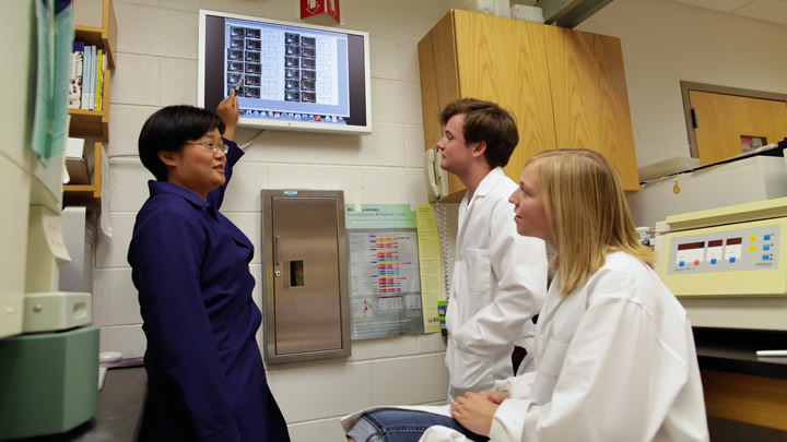 Professor Anding Shen doing research with students