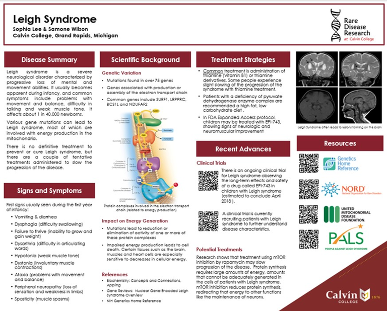 Leigh Syndrome Poster