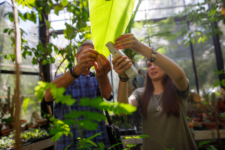 A student and professor scan a leaf in the Calvin University herbarium, using biology lab equipment.