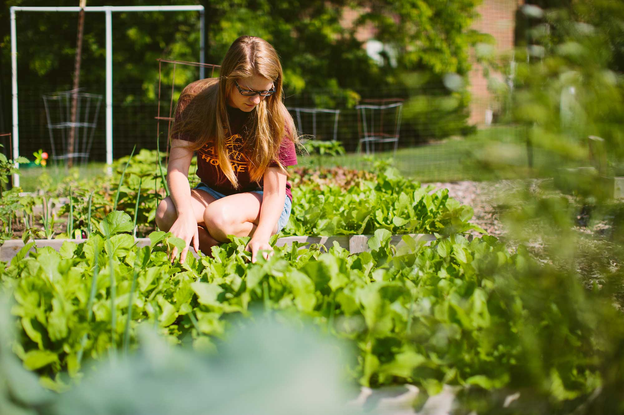A calvin student works in the community garden.