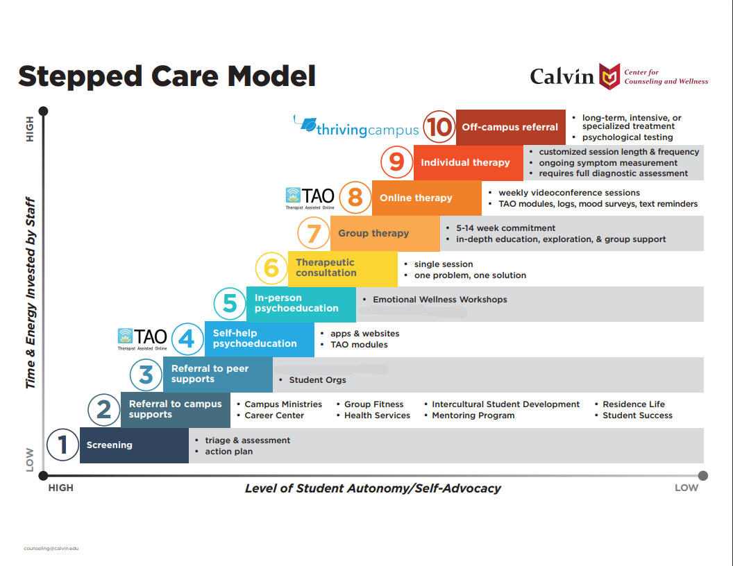 Stepped Care image