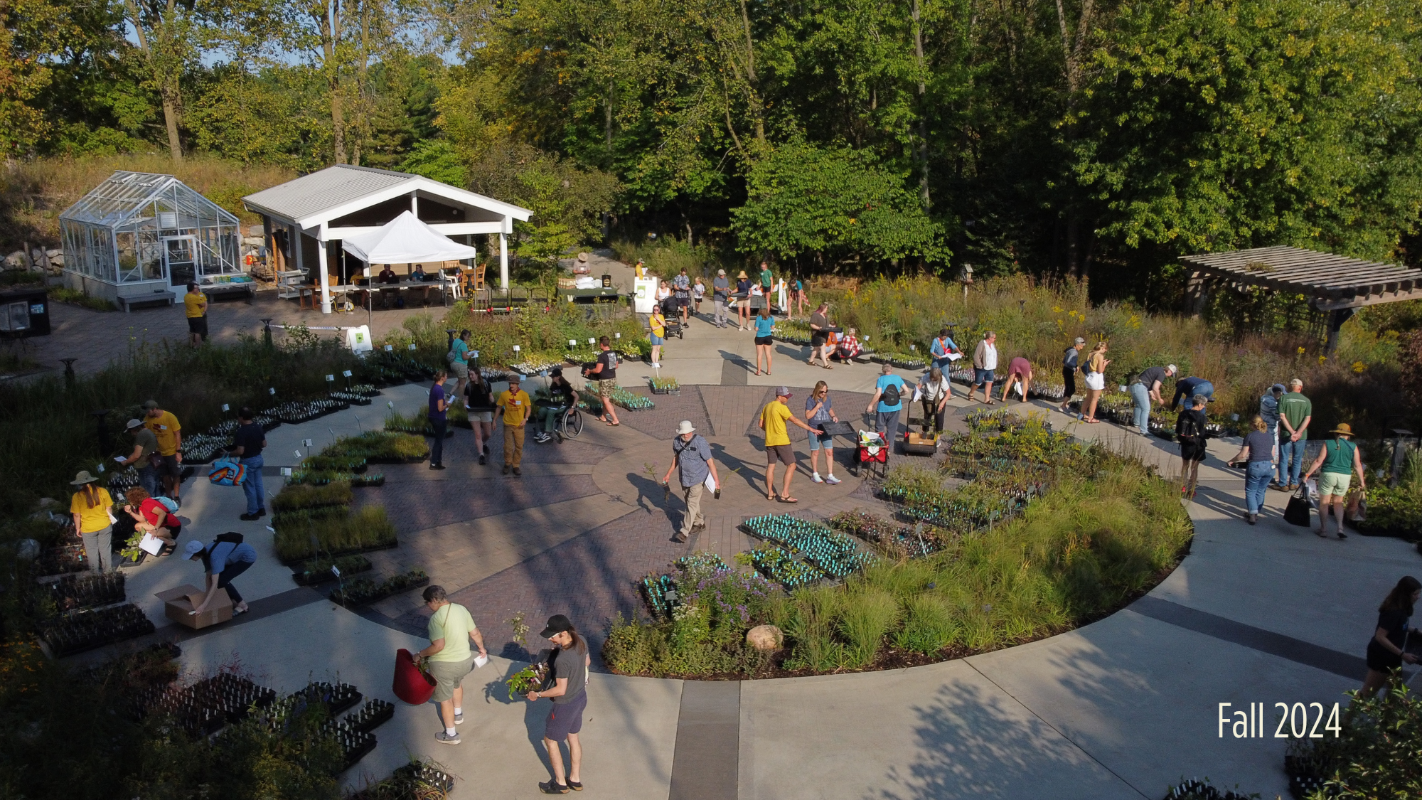 Fall Native Plant Sale