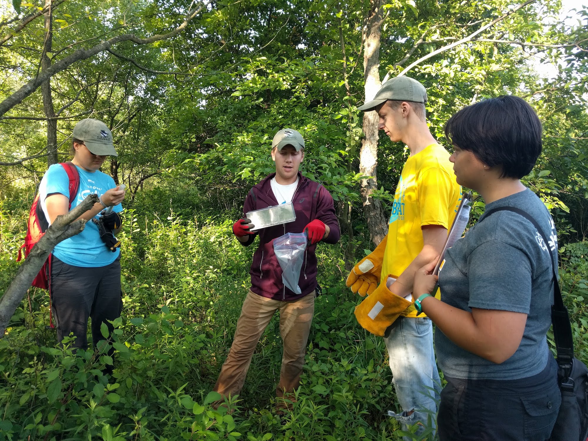 Students and faculty conduct small mammal research at the Calvin ecosystem preserve.