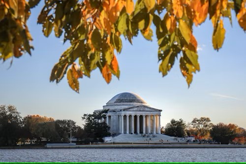 fall in Washington, D.C.