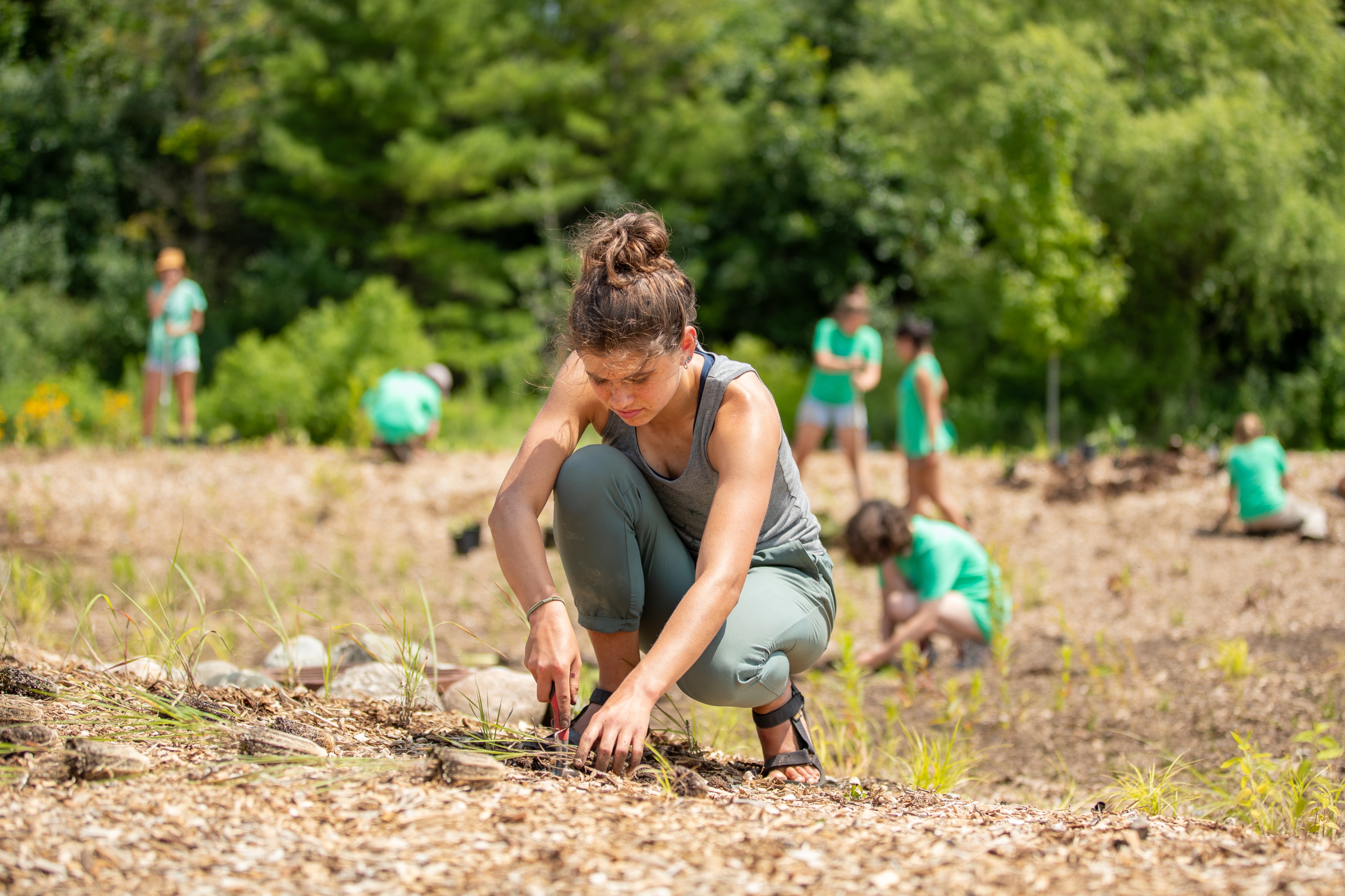 Student planting native plant plug